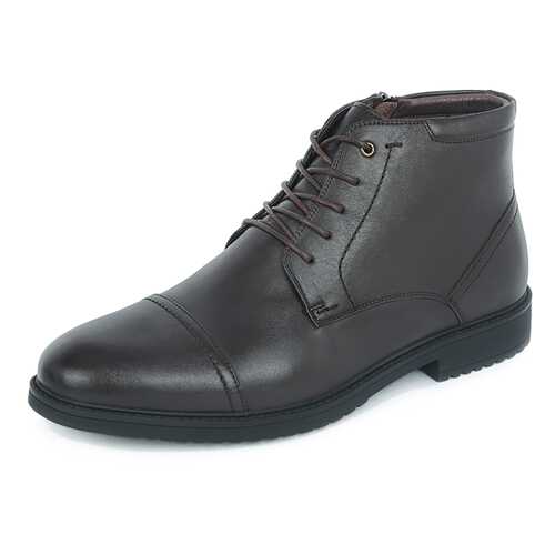 Ботинки мужские Pierre Cardin 710018537 коричневые 44 RU в Belwest