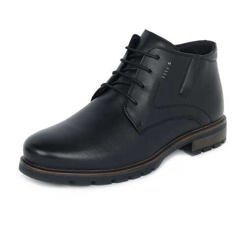 Ботинки мужские T.Taccardi 25907030 черные 42 RU в Belwest