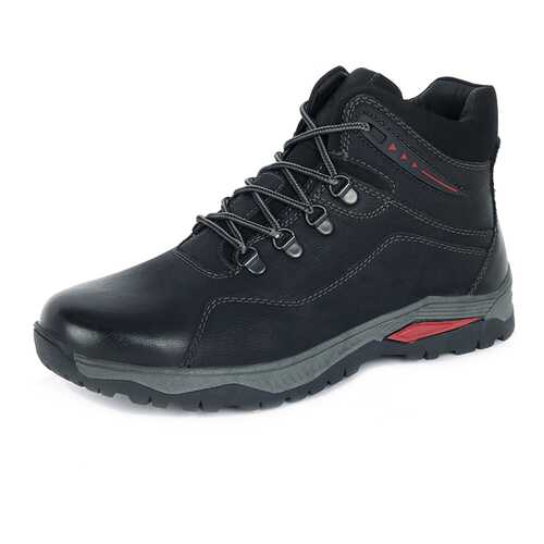 Ботинки мужские T.Taccardi 26107390 черные 43 RU в Belwest
