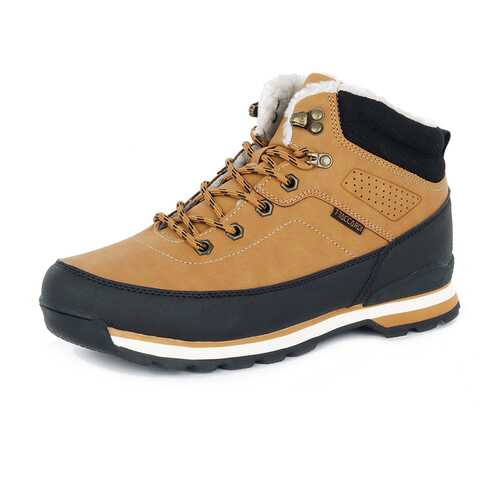 Ботинки мужские T.Taccardi 79707030 коричневые 41 RU в Belwest