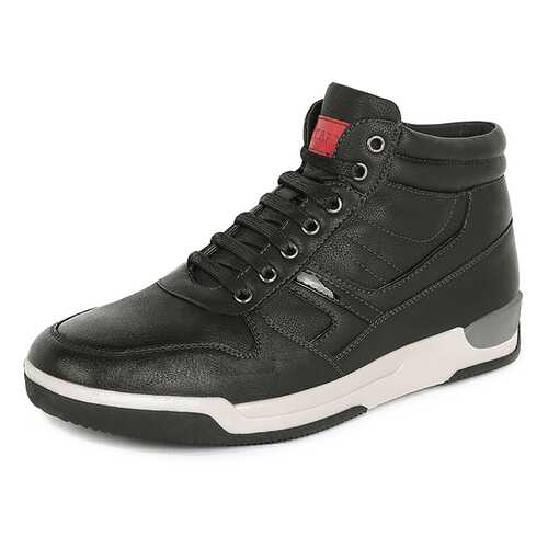 Ботинки мужские T.Taccardi K5141MH-2A черные 43 RU в Belwest