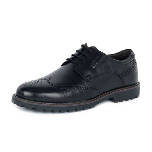 Полуботинки мужские T.Taccardi 25907020 черные 41 RU в Belwest