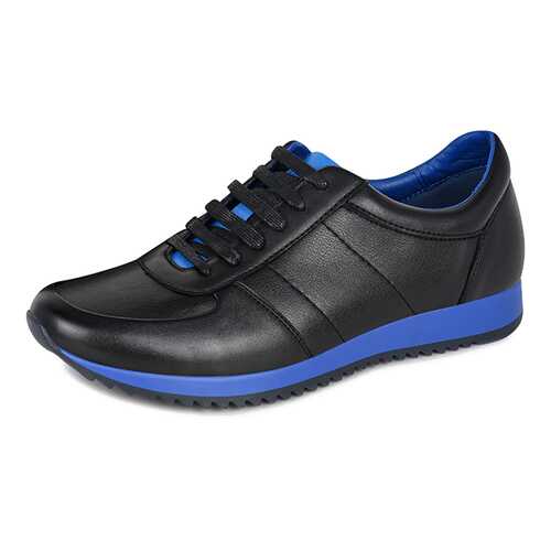 Полуботинки мужские T.Taccardi FM20AW-50 черные 40 RU в Belwest