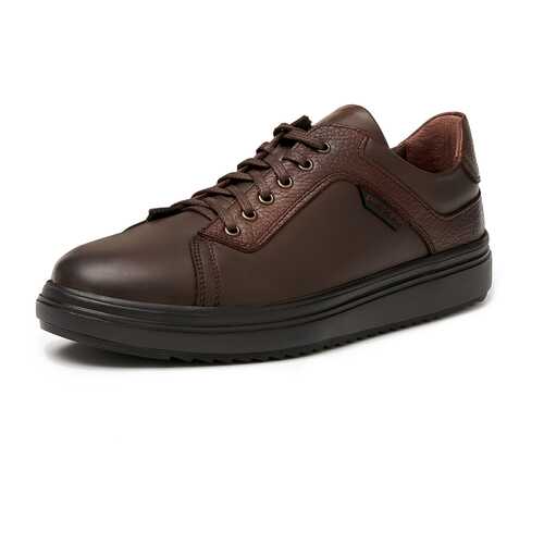 Кеды мужские Pierre Cardin TR-LR-992 коричневые 42 RU в Belwest