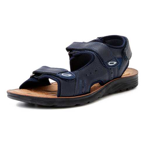 Сандалии мужские T.Taccardi 02806430 синие 45 RU в Belwest