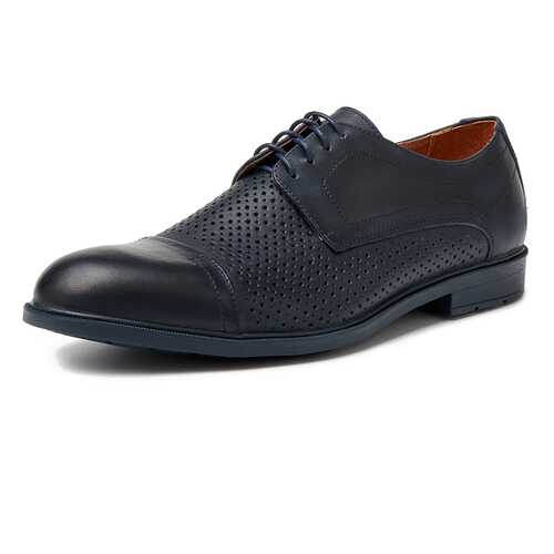 Туфли мужские Alessio Nesca M6118004 синие 43 RU в Belwest