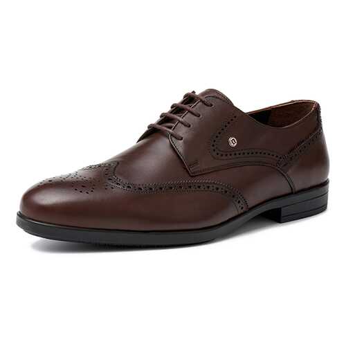 Туфли мужские Pierre Cardin 03407020 коричневые 43 RU в Belwest