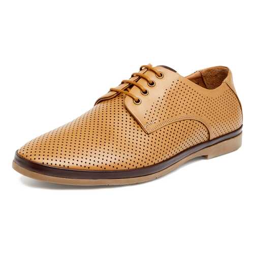 Туфли мужские Pierre Cardin 710017657 коричневые 42 RU в Belwest