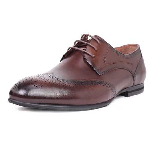 Туфли мужские Pierre Cardin 710017789 коричневые 40 RU в Belwest