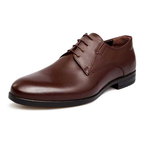 Туфли мужские Pierre Cardin 710018071 коричневые 40 RU в Belwest