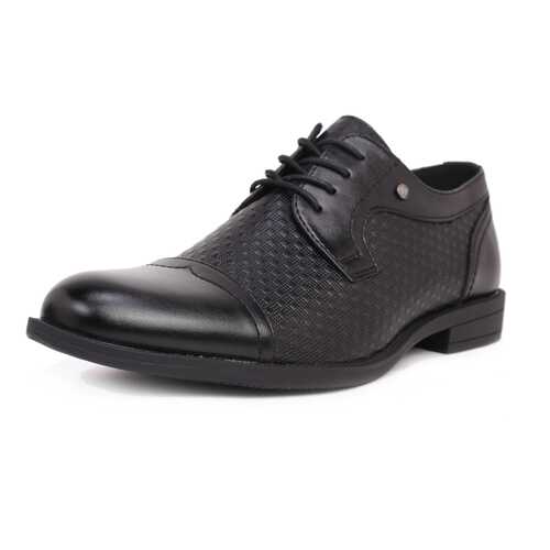 Туфли мужские T.Taccardi 03406040 черные 41 RU в Belwest