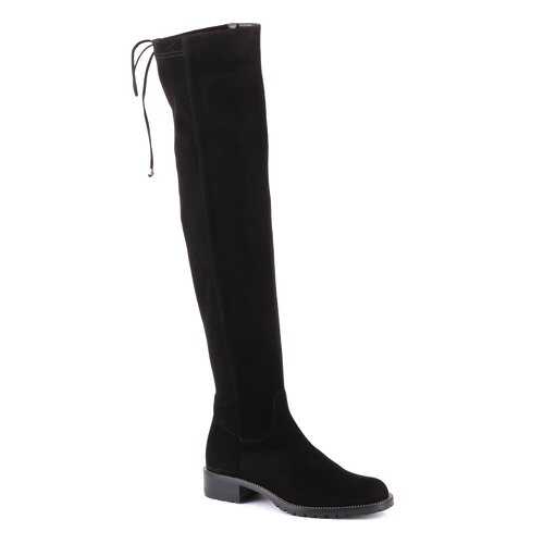 Ботфорты женские Eliza di Venezia E8581_2 черные 39.5 RU в Belwest