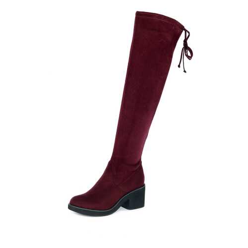 Ботфорты женские T.Taccardi K0589MH-1A бордовые 36 RU в Belwest