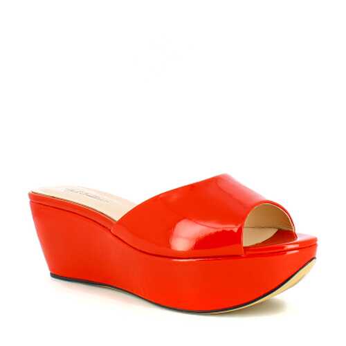 Сабо женские Just Couture серые в Belwest